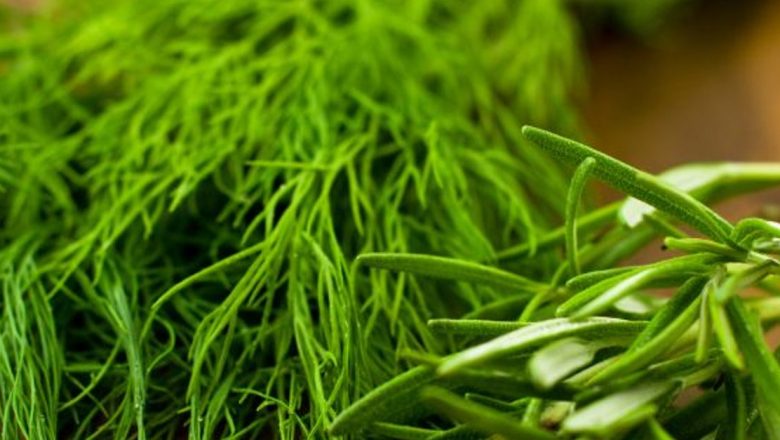 Mărarul: O comoară a sănătății care nu ar trebui să lipsească din alimentație