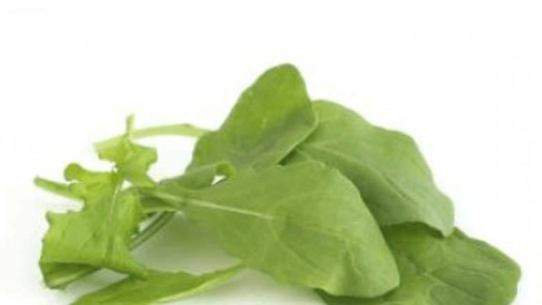 Rucola: Superalimentul care îți protejează sănătatea și combate cancerul de sân