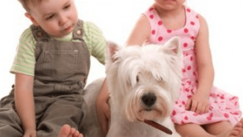 Ghidul complet pentru alegerea celor mai potrivite animale de companie pentru familiile cu copii mici