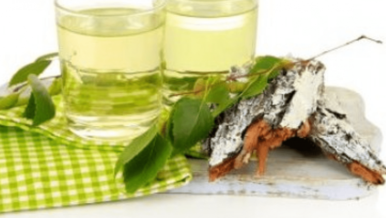 Mesteacănul: Un Remediu Natural pentru Sănătatea Rinichilor