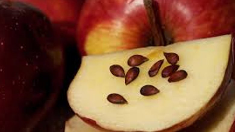 Semințele de Măr: Un Remediu Natural pentru Insomnie