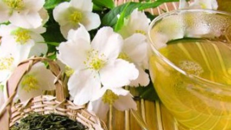 Remedii Naturiste pentru Afecțiunile Pancreasului: O Analiză Detaliată a Soluțiilor Naturale