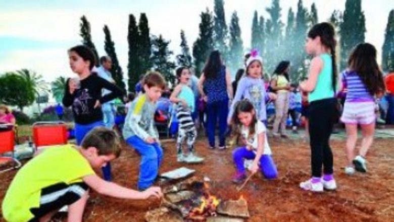 Ghid complet pentru activități de vară cu copilul: de la tabere la explorări în natură
