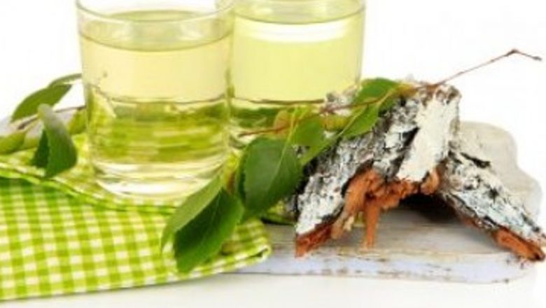 Mesteacănul: Un Aliat Natural pentru Sănătatea Rinichilor