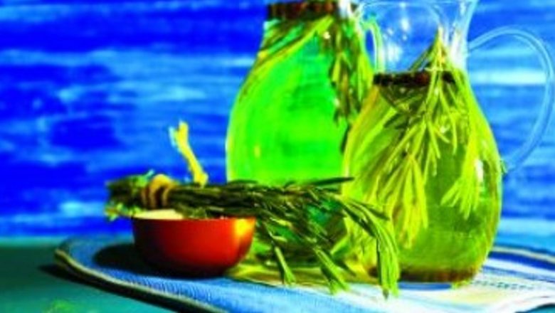 Îmbunătățirea memoriei prin plante: o abordare naturală pentru o viață mai conștientă
