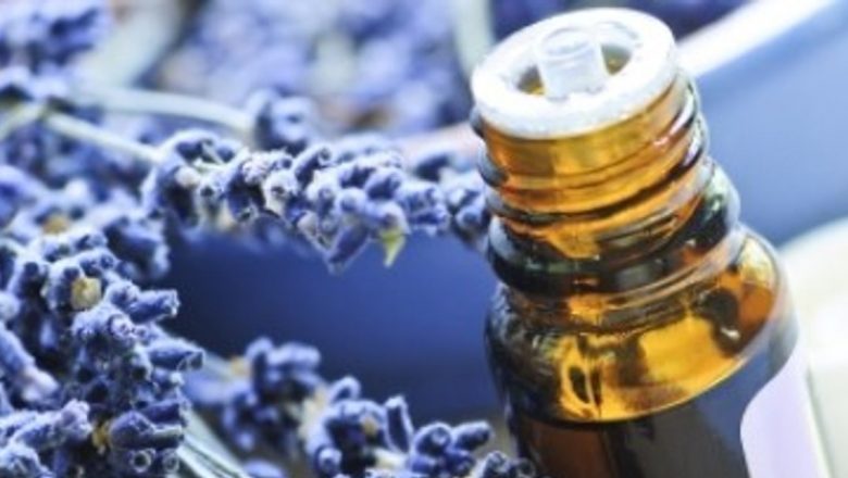 Strategii Eficiente pentru Tratarea Înțepăturilor de Insecte: Remedii Naturale și Sfaturi Practice