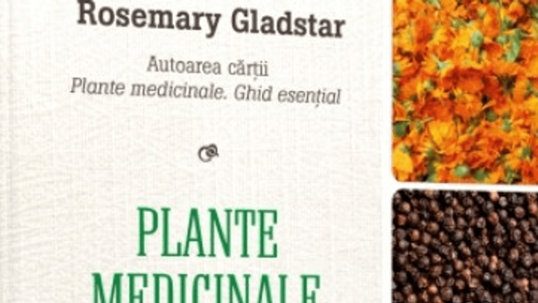 Explorarea Plantelor Medicinale: O Resursă Inestimabilă pentru Sănătatea Ta