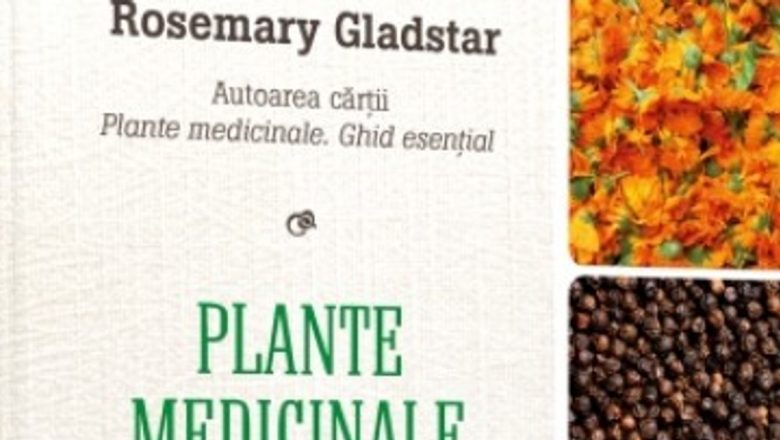 Descoperă Plantele Medicinale: O Resursă Valoroasă pentru Sănătatea Ta