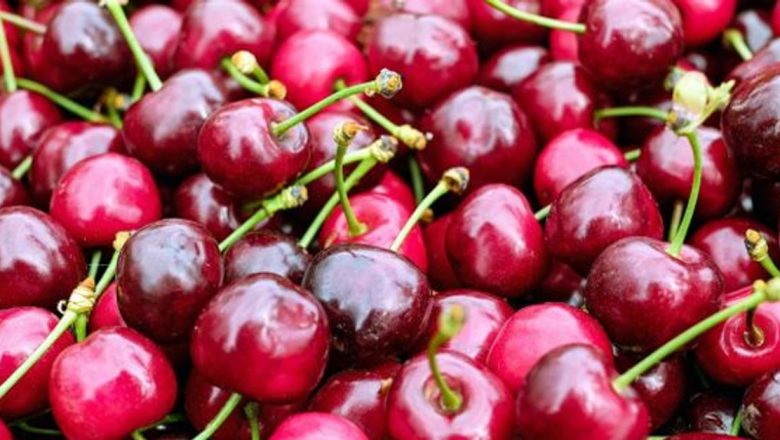 Cireșele: Superfructul care îmbunătățește sănătatea și reduce riscurile de boli