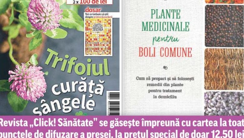 Remedii Naturiste pentru Indigestie: O Abordare Holistică a Sănătății Digestive