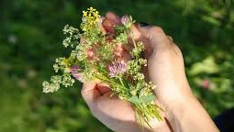 Concediu fără dureri de cap: soluții naturale pentru migrenă în vacanță