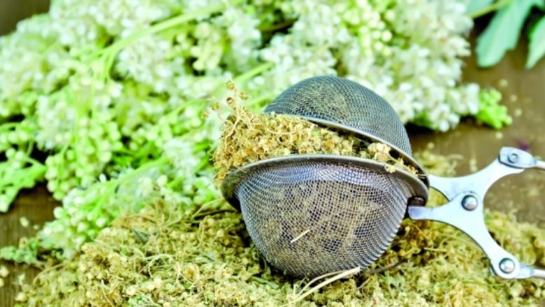 Crețușca: Aspirina Vegetală și Beneficiile Sale Medicinale