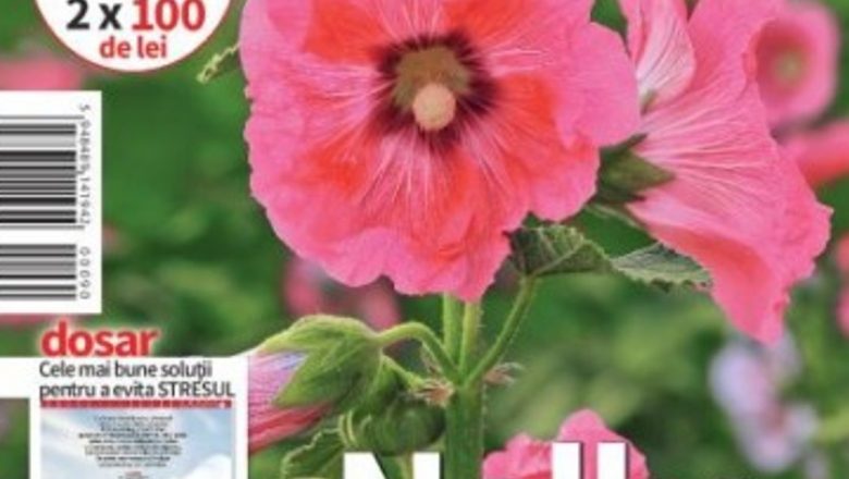 Explorarea sănătății: Cele mai recente descoperiri și tratamente în numărul de august al revistei Click! Sănătate
