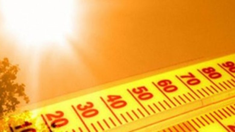 Cele mai eficiente alimente pentru combaterea caniculei: Ghidul verii sănătoase