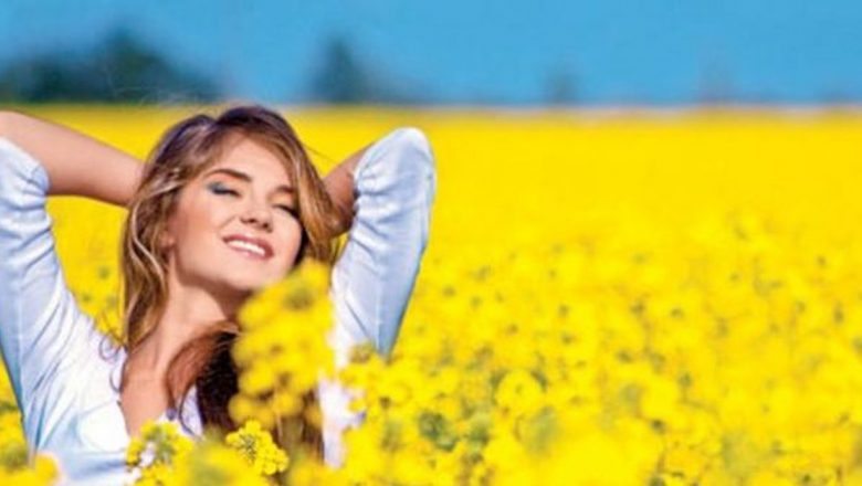 Ceaşca de sănătate: Plantele care transformă natura în medicină – Sunătoarea, Brânca ursului și Tarhonul