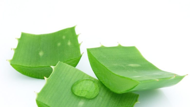Plantele ca soluții naturale: Remedii pentru neplăcerile de vară