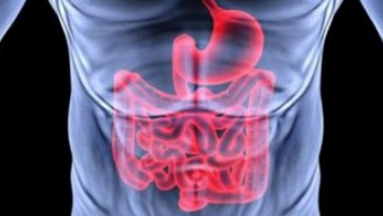 Limba-mielului: O Plantă Medicinală cu Beneficii Remarcabile pentru Sănătate