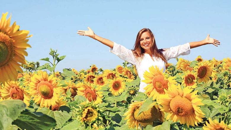 Floarea-soarelui: O Surpriză Nutritională pentru Sănătatea Inimii și Nu Numai