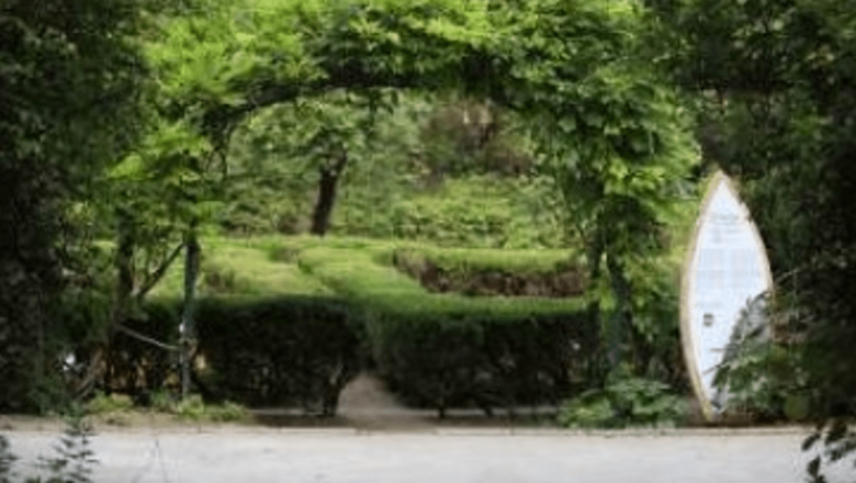 Grădina cu Remedii: O Inițiativă pentru Sănătate și Educație Ecologică în București
