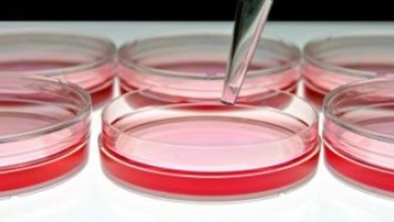 Cauzele Cancerului: O Analiză Detaliată a Riscurilor și Implicațiilor