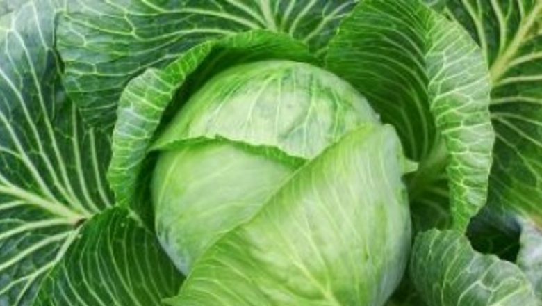 Alimentele care Combat Cancerul: O Analiză Detaliată a Beneficiilor Nutriționale
