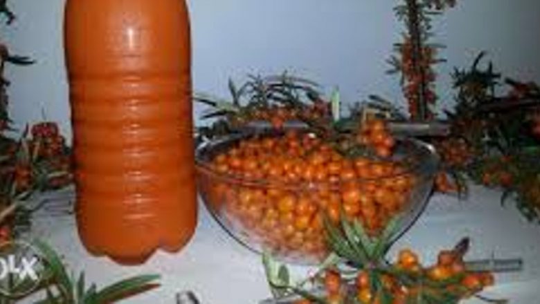 Siropurile naturale: Tonicii esențiali pentru sănătate, preparate acasă