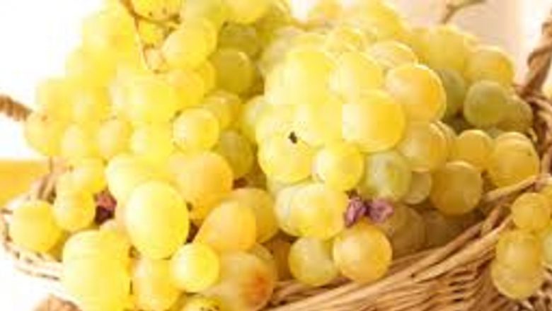 Noi Descoperiri în Lupta Împotriva Cancerului: Flavonoidele din Struguri și Impactul Lor Asupra Sănătății