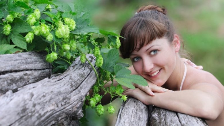 Plantele care aduc relaxarea: 7 remedii naturale pentru stres și anxietate