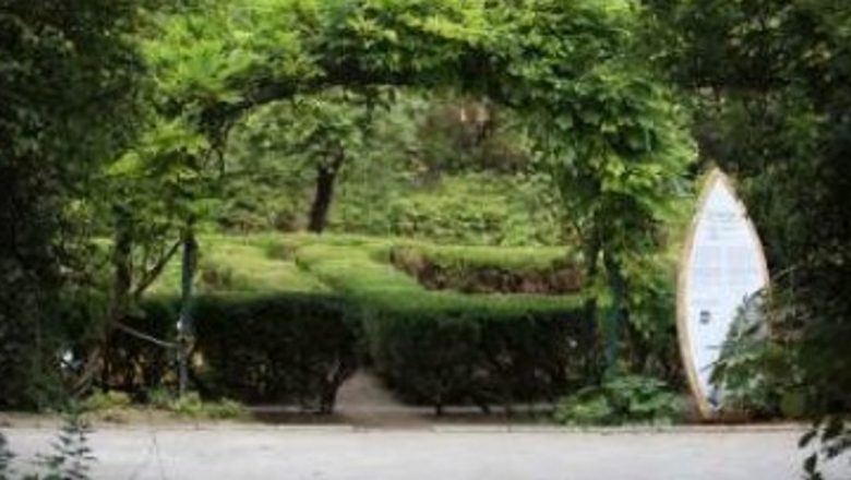 Grădina cu remedii: Un Proiect Pionierat pentru Sănătate și Educație în București