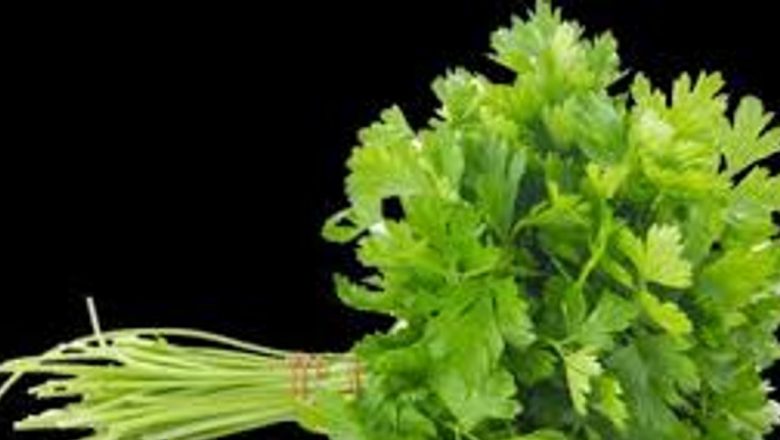 Remedii Naturale Eficiente Contra Halenei: Soluții pentru o Respirație proaspătă