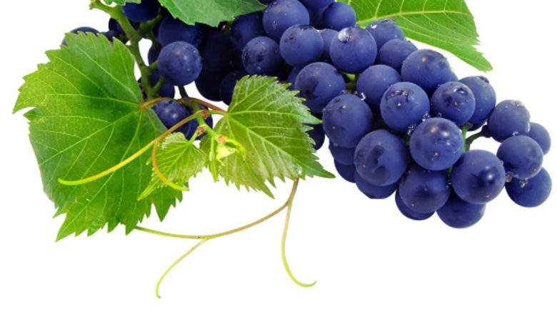 Beneficiile surprinzătoare ale strugurilor: Leacuri naturale pentru sănătate
