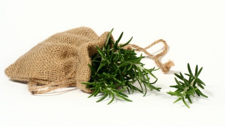 Remedii Naturale pentru Sănătatea Orală: Cum Plantele Pot Îmbunătăți Dantura și Respirația