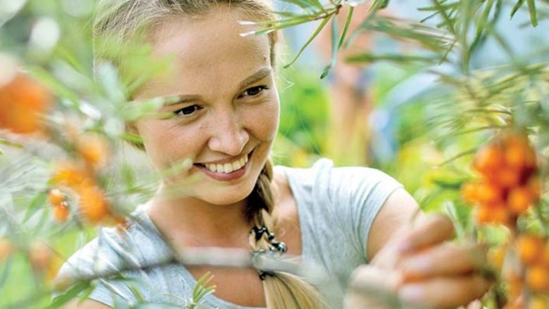 Întărirea Imunității de Toamnă: 9 Remedii Naturiste Eficiente pentru Sezonul Rece