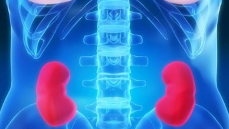 Remediul Natural pentru Pietrele la Rinichi: O Analiză Detaliată a Preparatului Miraculos