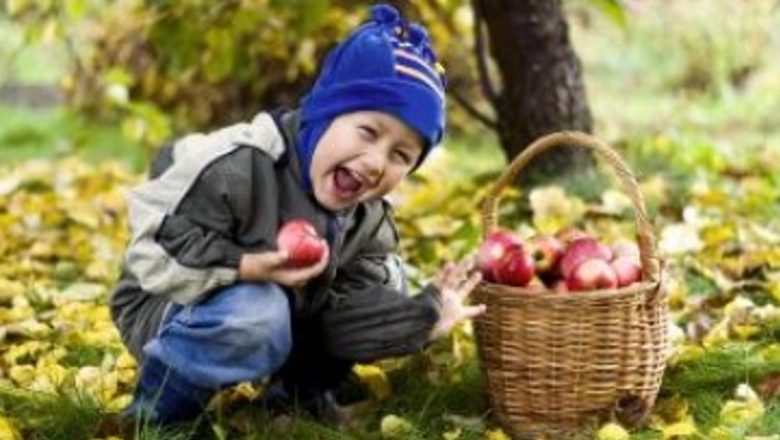 Importanța consumului zilnic de fructe: 4 alegeri esențiale pentru sănătate