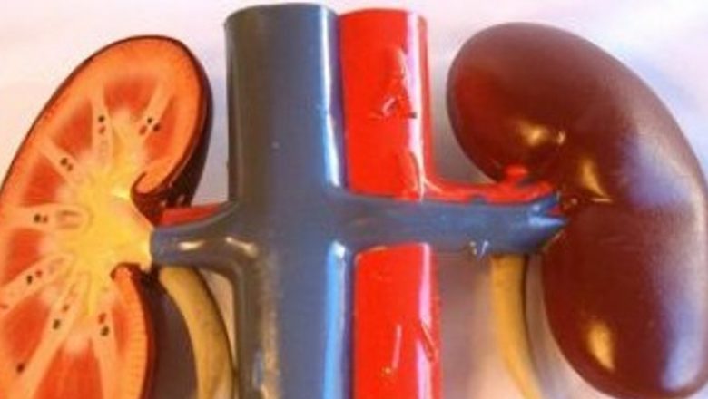 Sângele în urină: Un semnal alarmant în lupta împotriva cancerului renal