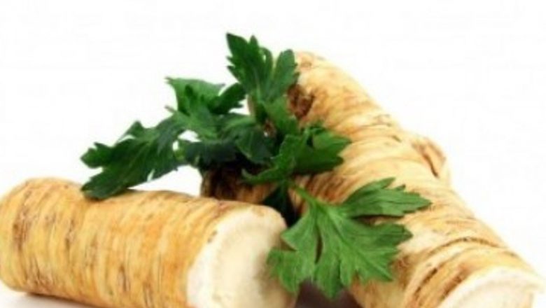 Hreanul: Un Remediu Natural cu Beneficii Multiple pentru Sănătate