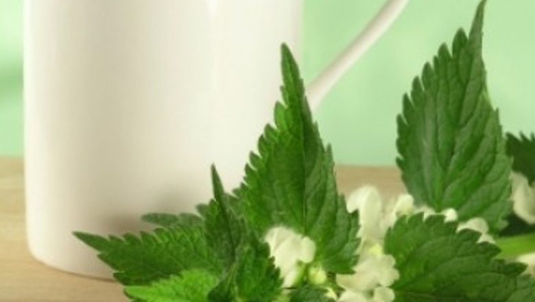 Vinul de mentă: un elixir străvechi pentru digestie și nu nu numai