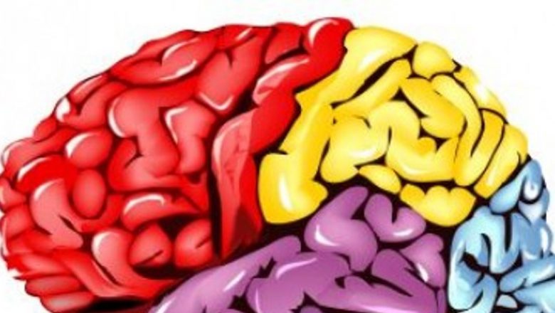 Menținerea Sănătății Cerebrale prin Activitate Fizică: O Nouă Metodă Revoluționară