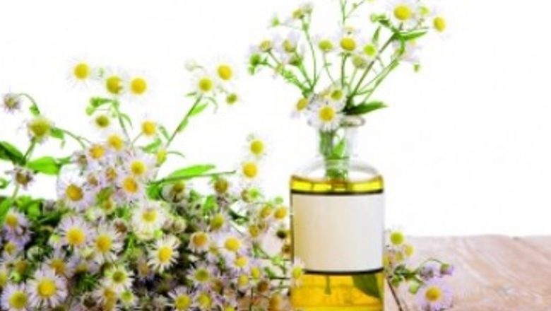 Tincturi Naturale pentru un Somn Odihnitor: Soluții Eficiente pentru Insomnie și Anxietate