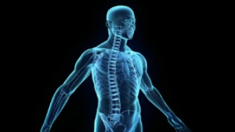 Descoperiri Fascinante despre Corpul Uman: 20 de Fapte Uimitoare și Implicațiile Lor