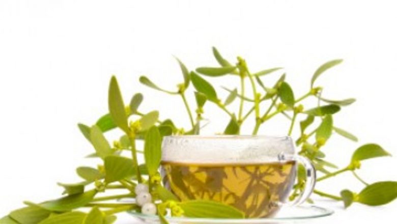 Beneficiile Vâscului: Remediul Natural pentru Sănătatea Ta în Sezonul Rece