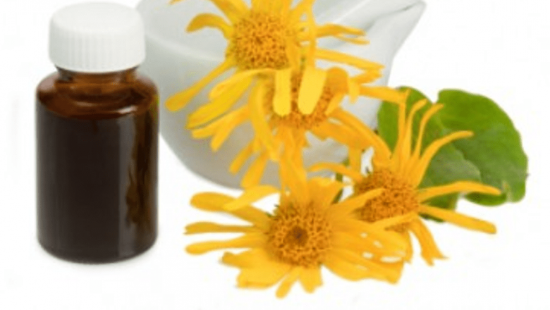 Leacuri Naturale pentru Reglarea Menstruației: O Analiză Detaliată a Soluțiilor Pe Bază de Plante