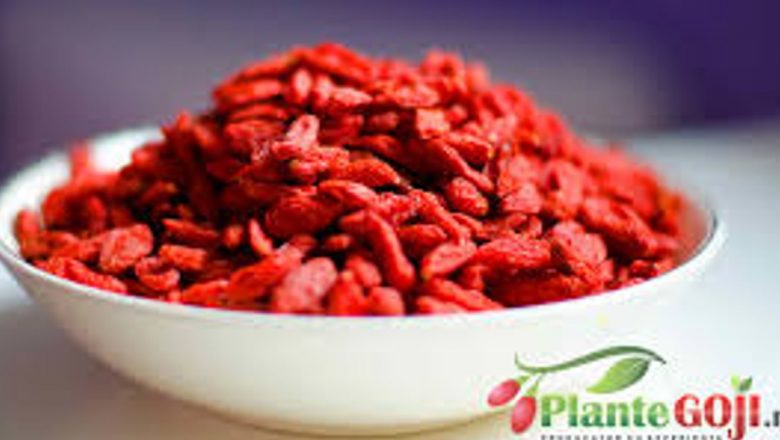 Fructele Goji: Superalimentele Sezonului Rece pentru Sănătate și Longevitate