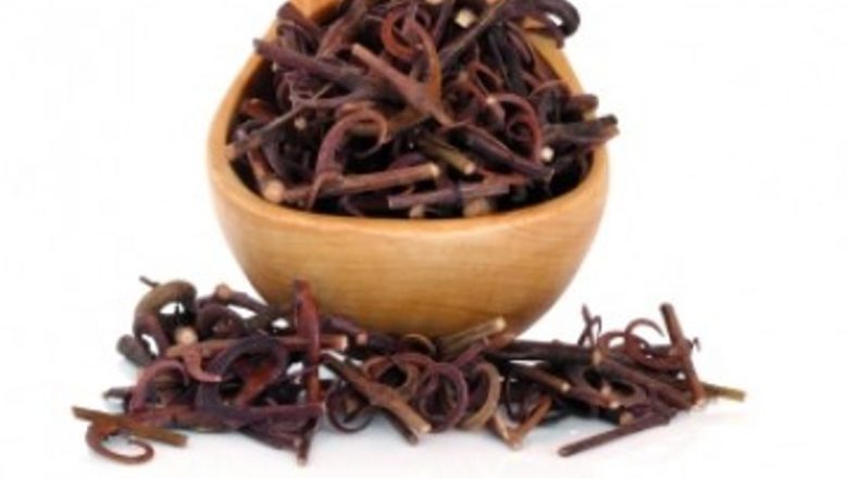 Gheara-mâţei: Remediul natural care combate infecțiile și susține sănătatea