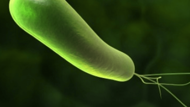 În Profunzime: Tot ce Trebuie Să Știi Despre Infecția cu Helicobacter pylori
