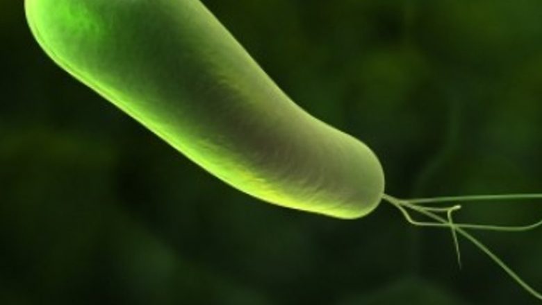 Tot ce trebuie să știi despre infecția cu Helicobacter pylori: Transmitere, simptome și tratamente