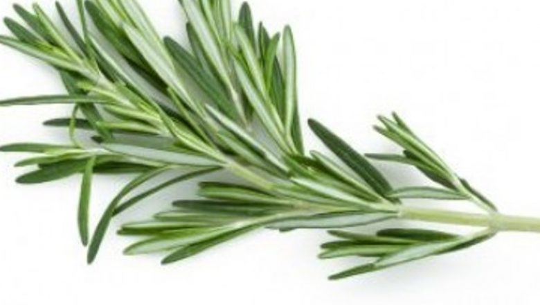 Remedii Naturale pentru Hipotensiune: Cum să Îți Reglezi Tensiunea Arterială cu Ajutorul Plantei și Alimentației