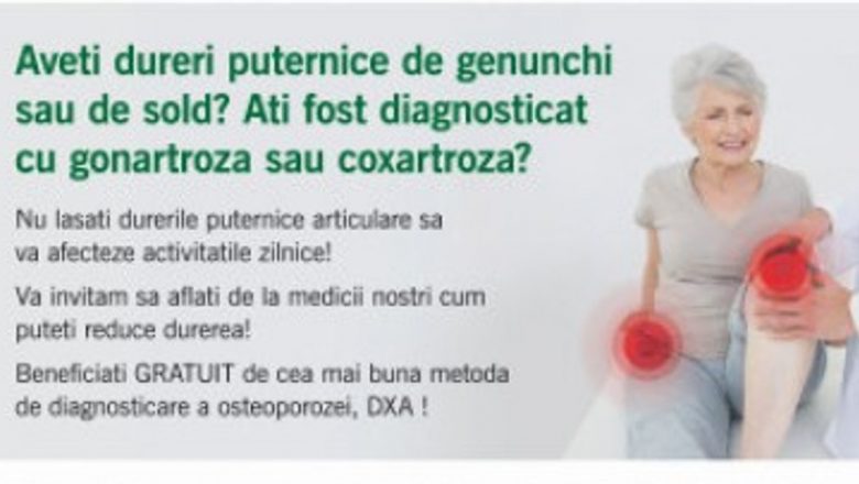 Artroza: Cauze, Simptome și Impactul Asupra Calității Vieții