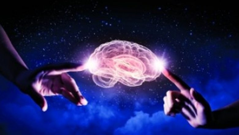Creierul: Organul Minunat Care Ne Definește Viața și Experiențele
